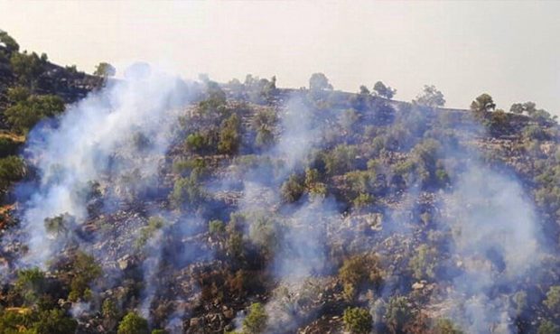 شناسایی ۹ نفر از عاملین آتش‌سوزی جنگل‌ها و مراتع اسلام آباد غرب