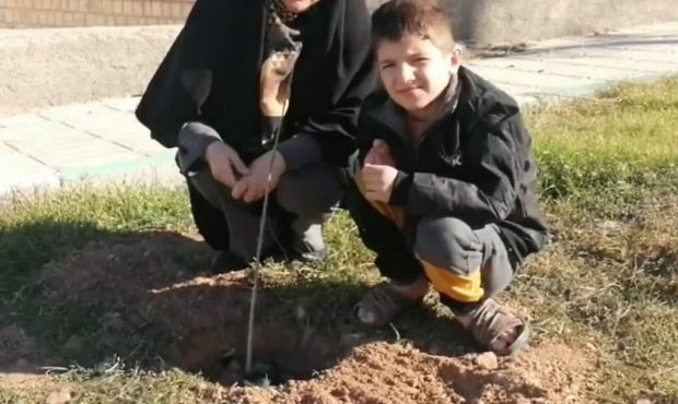 کاشت ۵ هزار اصله نهال در کرمانشاه در قالب پویش «در سایه مادر»