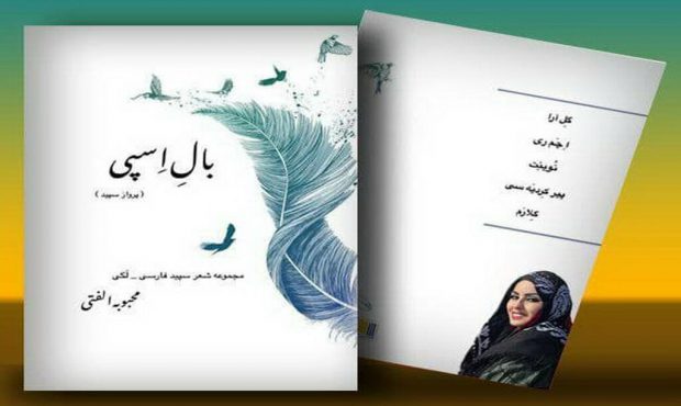 مجموعه شعر ۲ زبانه فارسی – لکی “بال اسپی” منتشر شد