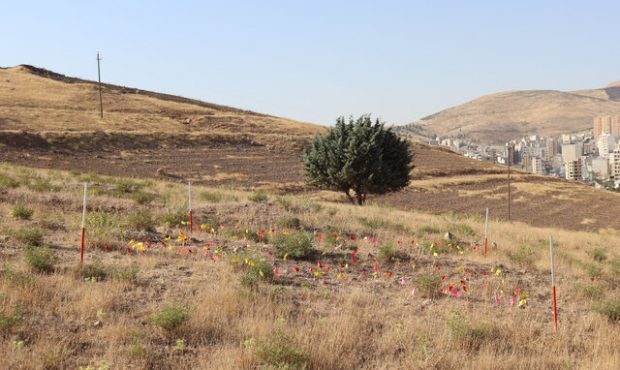 محوطه یک میلیون ساله کرمانشاه «پارک موزه» می‌شود