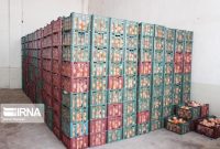 ۲۳۵ تن میوه شب عید و خرمای ماه مبارک رمضان استان کرمانشاه ذخیره‌سازی شد