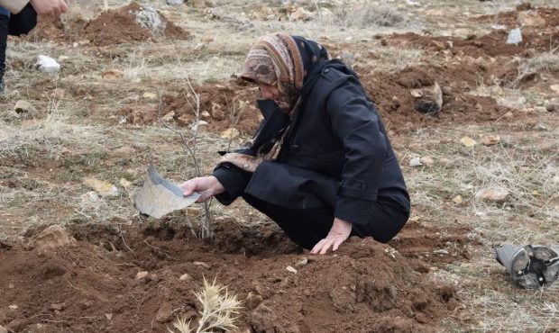 آغاز کاشت ۸۰۰ هزار اصله نهال در کرمانشاه به مناسبت هفته منابع طبیعی