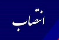 هادی نوروزی عضو کارگروه گردشگری مناطق آزاد کل کشور شد