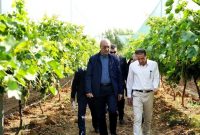 استاندار کرمانشاه:به سمت کشاورزی مدرن و هوشمند باید حرکت کنیم
