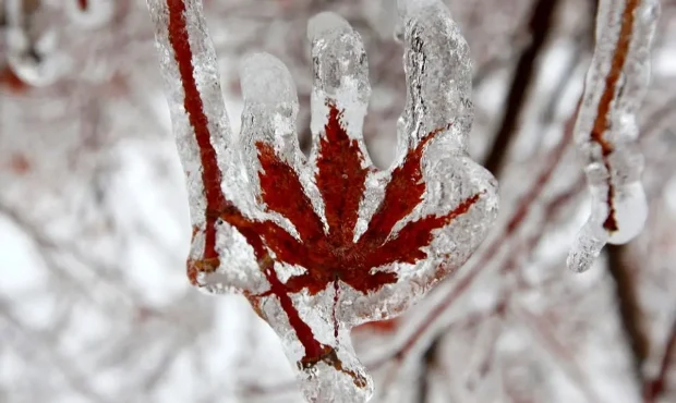 کرمانشاه تا یکشنبه ۵ تا ۸ درجه سردتر میشود کرمانشاه تا یکشنبه ۵ تا ۸ درجه سردتر میشود