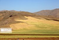 آتش‌زدن کاه و کلش مزارع موجب تخریب خاک دشت‌های حاصلخیز کرمانشاه می‌شود