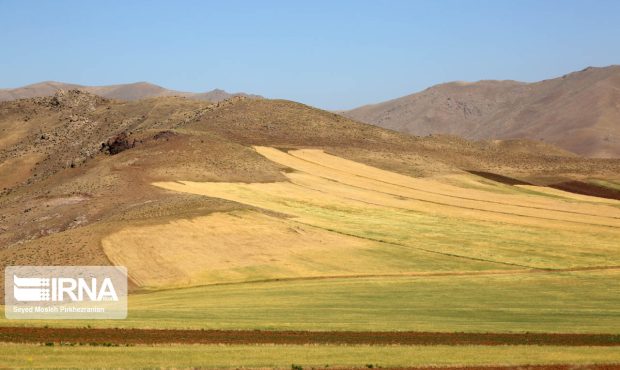 آتش‌زدن کاه و کلش مزارع موجب تخریب خاک دشت‌های حاصلخیز کرمانشاه می‌شود