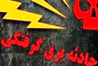 فوت ۱۵ کرمانشاهی بر اثر برق گرفتگی در ده ماهه سال جاری