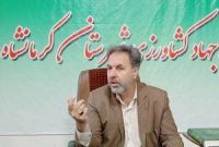 ۴۵۰ هزار قطعه جوجهریزی و توزیع گسترده کود شیمیایی در کرمانشاه ۴۵۰ هزار قطعه جوجهریزی و توزیع گسترده کود شیمیایی در کرمانشاه