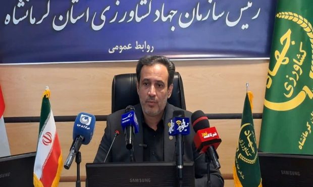 ارزش تولیدات کشاورزی کرمانشاه از ۲۲۸ همت گذشت ارزش تولیدات کشاورزی کرمانشاه از ۲۲۸ همت گذشت