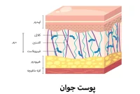 مراقبت از پوست