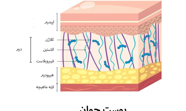 مراقبت از پوست مراقبت از پوست