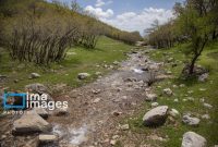 تاکید استاندار کرمانشاه بر ضرورت برنامه‌ریزی مستمر برای حفاظت و احیای جنگل‌های زاگرس
