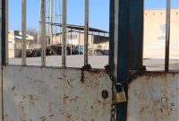 قسم حضرت عباس را باور کنیم یا دم خروس را؟