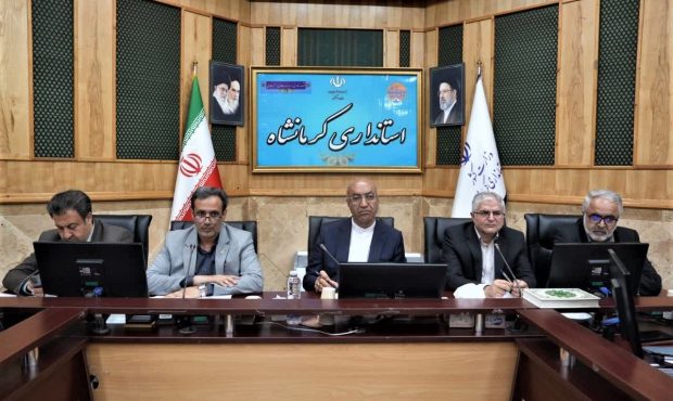 نظارت مستمر بر نانوایی‌ها و حمایت از کشاورزان، دو اولویت اساسی مدیریت بازار استان است