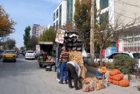 رئیس پلیس راهور کرمانشاه: توقف وانت‌های میوه‌فروش در حاشیه بزرگراه‌ها ممنوع است