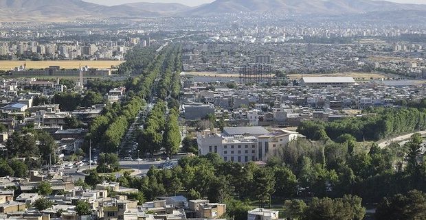 درختان شهر کرمانشاه شناسنامهدار میشوند درختان شهر کرمانشاه شناسنامهدار میشوند